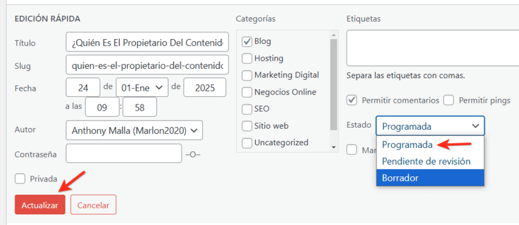 como se publica texto programado en wordpress