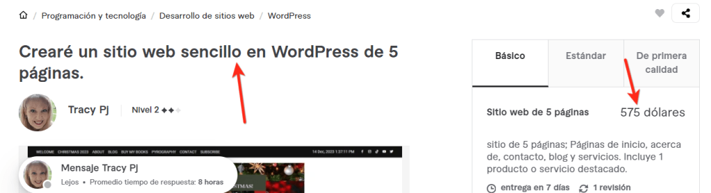 costo pagina web usa en fiverr