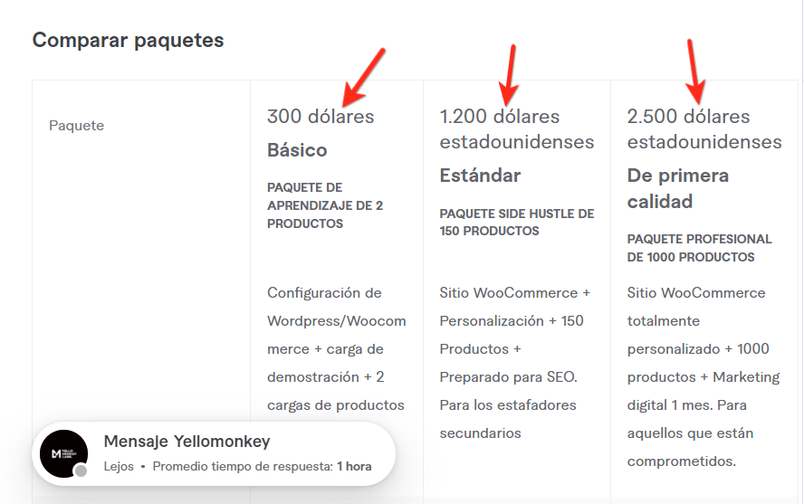 tarifas paginas web usa