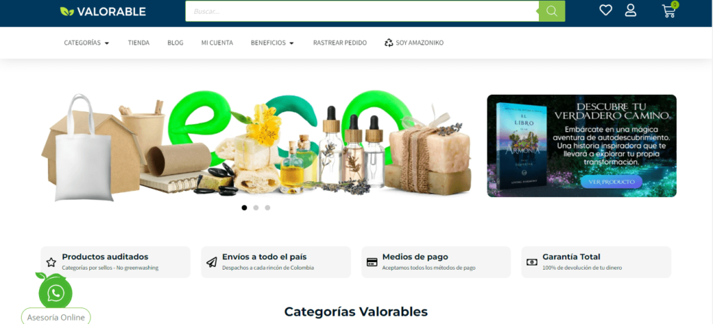 ejemplo web nicho ejemplo de web nicho