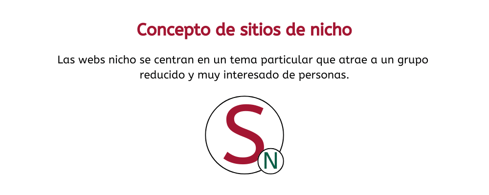 que se entiende por sitio web de nicho