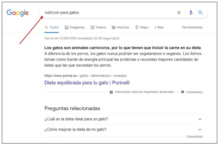 como crear presencia web