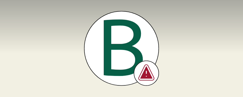 desventajas de un blog