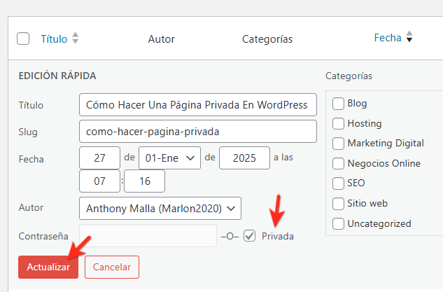 entradas privadas wordpress modelo ejemplo