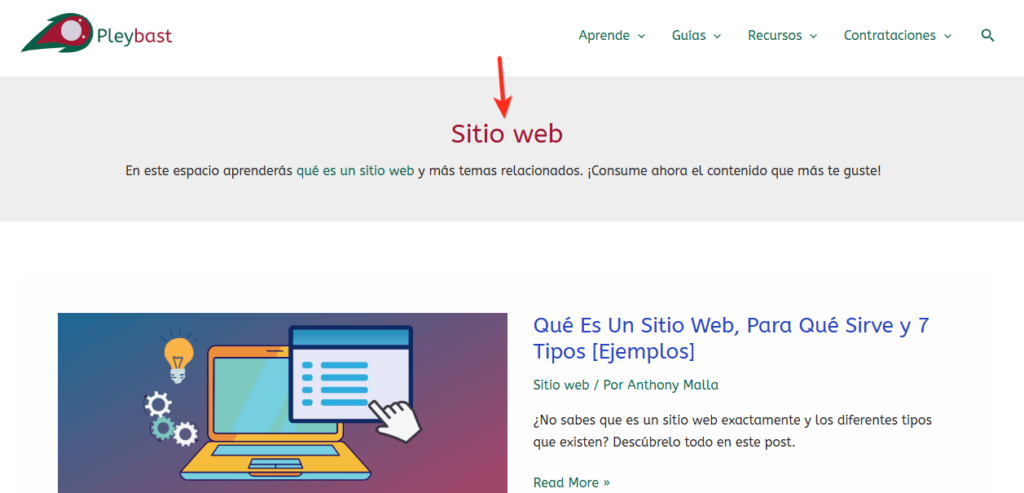organizar informacion de blog categorias