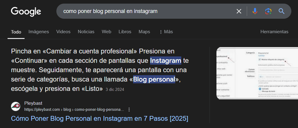 pleybast blog en google top1