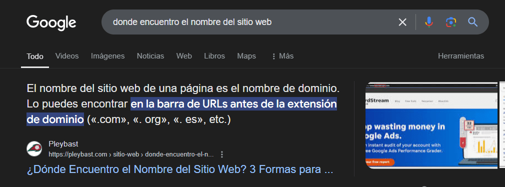 top1 google blog pleybast