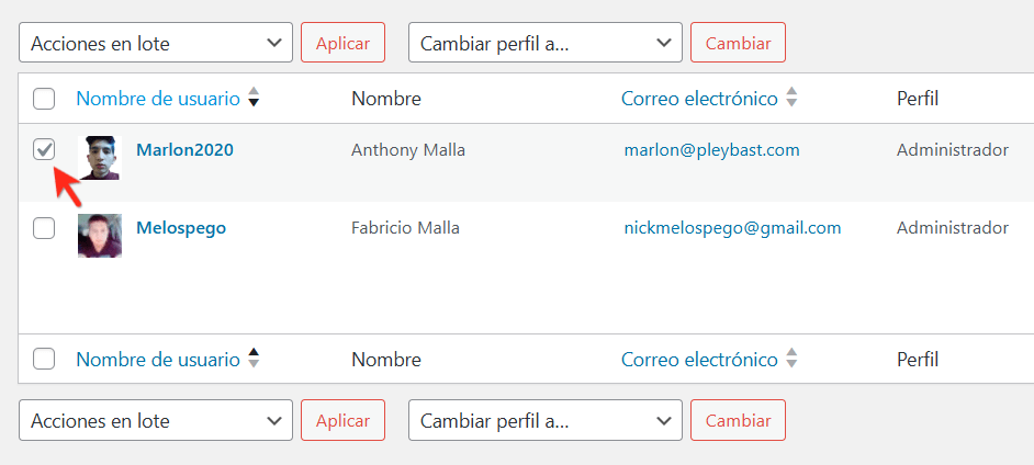borrar usuario wordpress