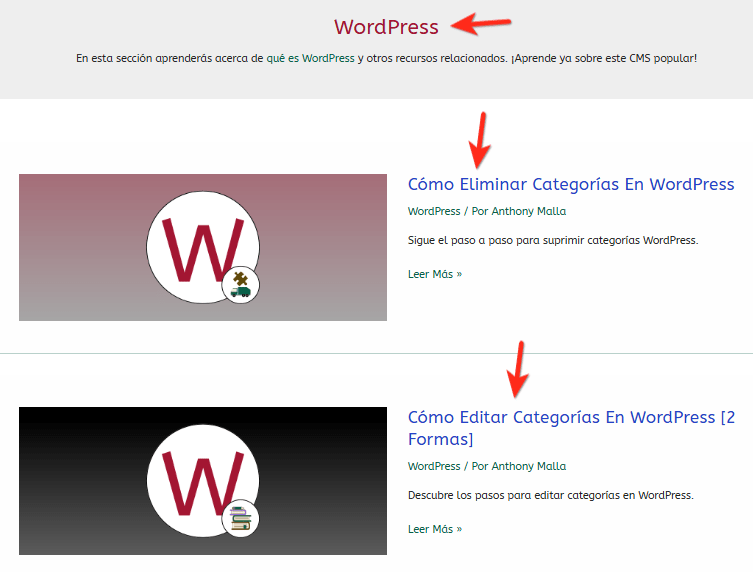 taxonomia wordpress categoria