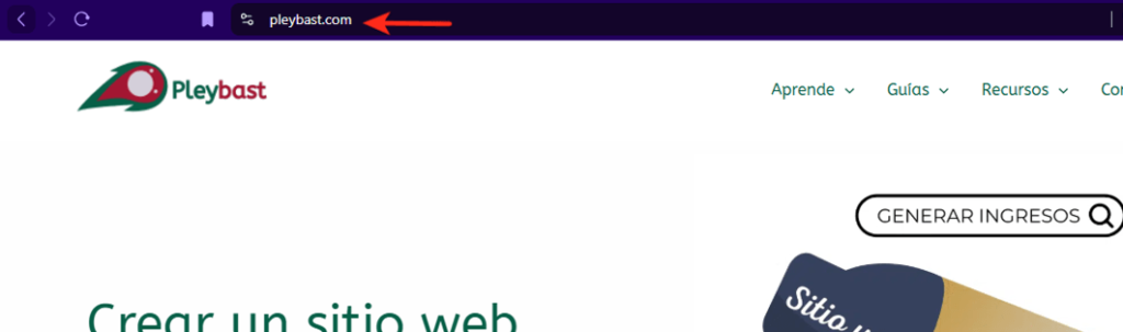 cual es la url de mi sitio web